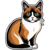 Meow Collection 15