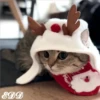 🎄Gatitos 2😺 18