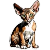 Meow Collection 16