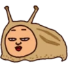 BUROKU 2 CIHUY UYE AW MUACH 16