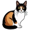 Meow Collection 18