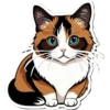 Meow Collection 19