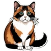 Meow Collection 21