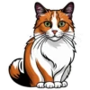 Meow Collection 22