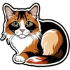 Meow Collection 23