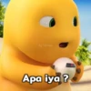 Dinonya nrs 18