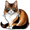Meow Collection 24