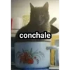 gatitos2 21