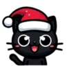 🎅🏻Christmas cat black.🖤🐱 17