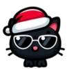 🎅🏻Christmas cat black.🖤🐱 18
