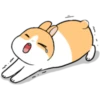 cute rabbits 12