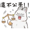 cute rabbits 13