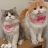 🎄Gatitos 2😺 27