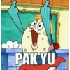 JANGAN SOP 02 17