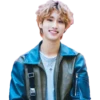 Stray Kids №13 24