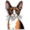 Meow Collection 28