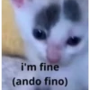 gatitos2 26