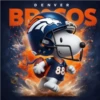Snoopy NFL 🏈 11
