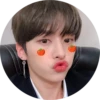 Stray Kids №13 27