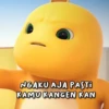 Dinonya nrs 27