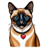 Meow Collection 30