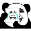 panda ʕ •ᴥ•ʔ 6