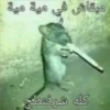 New 55 6