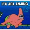 JANGAN SOP 01 5
