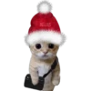 🎄 MiChIS NaViDeÑoS 🐈 5