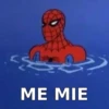 SPIDERMAN MEMARDOS 2 10