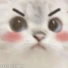 Un poco de todo 7