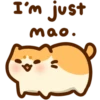 Hello Bichi Mao! 6