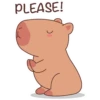 Capybara Sticker Pack 6