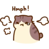 Hello Bichi Mao! 7