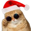 🎄 MiChIS NaViDeÑoS 🐈 6