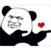 panda ʕ •ᴥ•ʔ 12