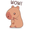 Capybara Sticker Pack 8