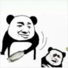 panda ʕ •ᴥ•ʔ 14