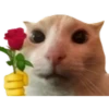 animal emotes 9