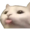 animal emotes 12