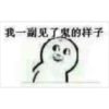 我一副见了鬼的样子