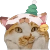 🎄 MiChIS NaViDeÑoS 🐈 9