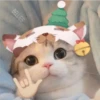 🎄 MiChIS NaViDeÑoS 🐈 10