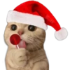 🎄 MiChIS NaViDeÑoS 🐈 11