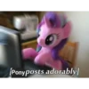 My Little Pony №1 20