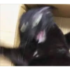 gatitos3 10