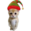🎄 MiChIS NaViDeÑoS 🐈 12