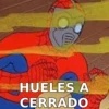 SPIDERMAN MEMARDOS 2 16