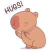 Capybara Sticker Pack 13