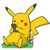 Pikachu 14